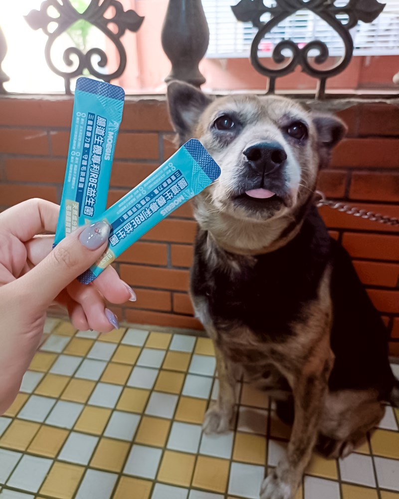 女人知己試用大隊,口碑行銷,部落客行銷,Moegis萌吉 腸道生機專利RBE益生菌,寵物益生菌,專利RBE益生元,專利蔬果酵素,小分子胜肽,藍藻粉,維持免疫力,幫助維持消化道機能,維持正常食慾,改變細菌叢生態,腸胃保健,犬貓適用